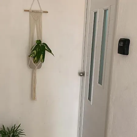 Alcoby Apartment Cancun Exterior photo